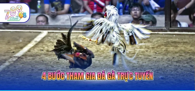 4 bước tham gia đá gà trực tuyến