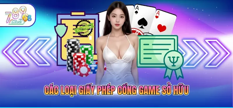 Các loại giấy phép cổng game sở hữu