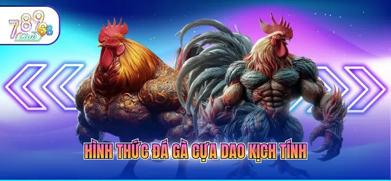 Hình thức đá gà cựa dao kịch tính