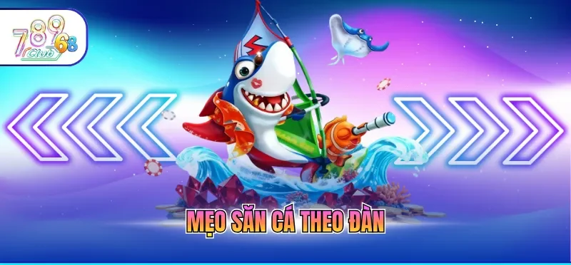 Mẹo săn cá theo đàn