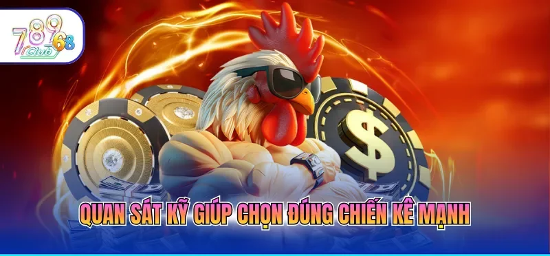Quan sát kỹ giúp chọn đúng chiến kê mạnh