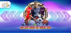 soi kèo bóng đá chính xác