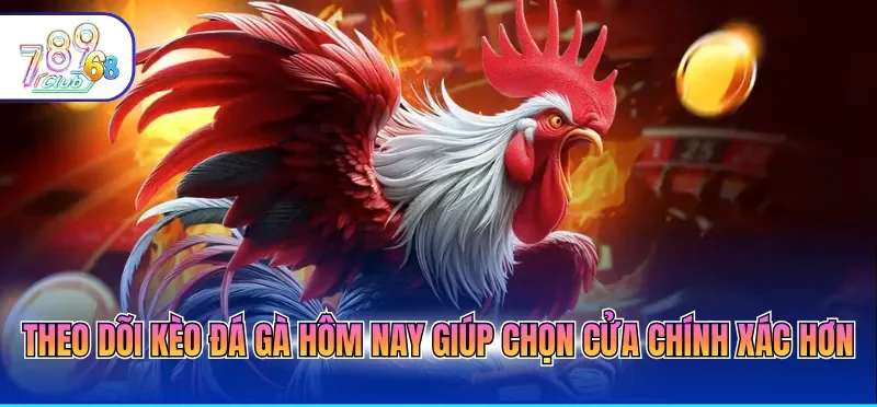 Theo dõi kèo đá gà hôm nay giúp chọn cửa chính xác hơn